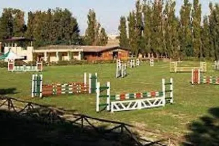 Polly Garden *